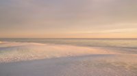 Serene beach at sunset with soft pink and orange sky reflecting on wet sand and gentle waves washing ashore creating peaceful coastal atmosphere.
