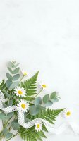 Fresh spring arrangement with white daisies, eucalyptus leaves and fern fronds decorated with delicate lace ribbon on clean white background for design.
