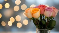 Fresh roses in peach, coral and pink tones arranged in clear glass vase against soft bokeh lights background creating romantic mood for celebration or special occasion.