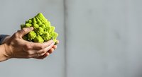 Cropped hand holding fresh green romanesco broccoli against neutral background, isolated for culinary, healthy eating, organic produce, and food styling design projects.