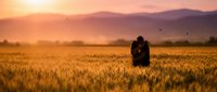 Couple embracing in a golden wheat field at sunset, with misty mountains and warm glowing sky in the background, romantic mood.