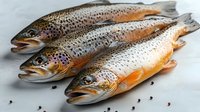 Fresh raw brown trout with spotted pattern on light background, three whole fish arranged in row showing scales and natural coloring for culinary and food design.