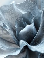 Macro photography of succulent plant petals in cool blue-gray tones showing intricate natural patterns and textures. Abstract organic curves create flowing composition.