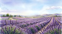 Expansive lavender field in full bloom with rolling hills and distant mountains under soft cloudy sky, ideal for travel and nature backgrounds.