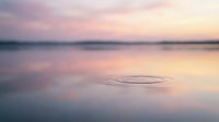Serene lake surface at dawn with concentric ripples spreading across calm water, soft pink and purple sky reflecting on glassy water for peaceful nature backgrounds.