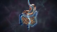 Neon glowing digestive system with illuminated stomach and intestines on dark background. Medical and scientific visualization for healthcare education and anatomy learning materials.