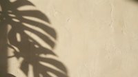 Young woman with long dark hair, wearing casual white clothing, sits against a textured beige wall with tropical plant shadows cast across the surface, creating natural light patterns for lifestyle and wellness content.