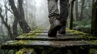 Hiker in waterproof boots walking on moss-covered wooden log through misty forest path, adventure and outdoor exploration concept for travel and nature themes.