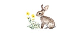 Watercolor brown bunny rabbit sitting next to yellow daisies and green stems on white background, spring nature illustration for seasonal designs.