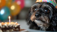 Adorable small black dog wearing party hat looking at birthday cake with lit candle, colorful balloons in background for pet celebration.