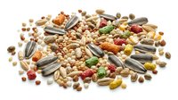 Mixed nuts seeds dried fruits healthy snack trail mix assortment isolated on white background for organic food design projects.
