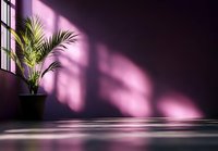 Green palm plant in black pot against purple wall with dramatic window light and shadow play creating minimalist interior scene with reflective floor surface.