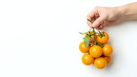 Hand holding fresh orange cherry tomatoes on vine isolated on white background for healthy cooking and organic food concepts.