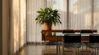 Modern office meeting room with wooden table, black chairs and green plant in terracotta pot. Warm sunlight creates shadows through window blinds on polished floor.