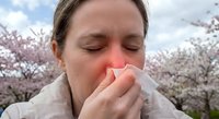 Young Caucasian woman sneezing into tissue during spring allergy season with blooming cherry trees in background. Seasonal allergies and hay fever concept.