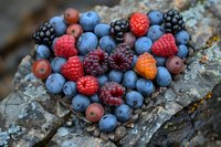 Fresh berries arranged in heart shape on rustic wood bark, including blueberries, raspberries, blackberries, and wild berries in vibrant natural colors.