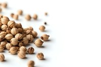 Dried coriander seeds scattered on white background with selective focus and copy space, natural spice ingredient for cooking and seasoning.