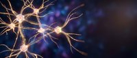 Neural network connections with glowing synapses and dendrites in brain tissue for medical education and neuroscience research presentations.