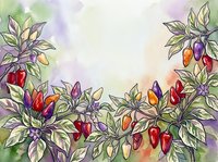 Watercolor illustration of chili pepper plants with vibrant red, yellow, and orange fruits on green foliage against soft purple and cream background. Suitable for culinary designs, garden themes, and botanical artwork.