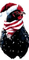 Black rooster wearing Santa hat and striped scarf against white background, festive winter holiday farm animal illustration for seasonal greeting cards.