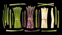 Assorted fresh asparagus spears isolated on transparent background, ready for culinary design, recipe graphics, food packaging, print-on-demand products, and digital cooking content.
