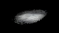 White fingerprint pattern on black background showing detailed ridges and whorls for security, identity verification and forensic investigation purposes.