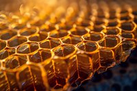 Golden honeycomb macro shot showing natural hexagonal wax cells filled with honey, illuminated with warm light creating depth and texture in close-up view.