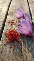 Purple saffron crocus flower with red saffron threads on rustic wooden planks. Aromatic spice harvest concept for culinary and cooking applications.