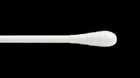 Cotton swab closeup isolated on transparent background, ready for stickers, clipart, print on demand, T-shirt design, and sublimation projects.