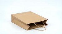 Brown kraft paper shopping bag with handles isolated on white background for retail packaging and eco-friendly branding projects.
