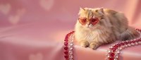 Adorable fluffy Persian cat with red glasses sitting among pink pearl necklaces on soft pink background with bokeh lights for luxury pet accessories.