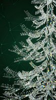 Crystal glass tree with binary code numbers on dark green network background representing digital technology and data science concepts.