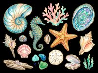 Watercolor ocean clipart set with seashells, starfish, seahorse, coral, and sea glass, isolated on transparent background. Ready for stickers, t-shirt design, and print on demand.