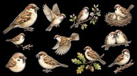 Sparrows clipart set with birds flying, perching, nesting, and on branches, isolated on transparent background, ready for stickers, t-shirt design, and print on demand.