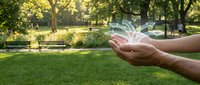 Hands cupping fresh water splash in sunny park setting with green grass and trees, symbolizing environmental conservation and nature protection.