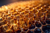Close-up macro shot of golden honeycomb cells filled with honey, illuminated by warm sunlight showing natural geometric patterns and organic textures.