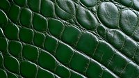 Green crocodile leather texture with detailed scales pattern for luxury fashion accessories and upholstery design projects.