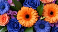 Vibrant floral arrangement featuring orange gerbera daisies, blue roses, and purple flowers with green foliage creates striking color contrast for celebrations and events.