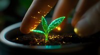 Young green sprout growing in soil with magical glowing effect and sparkles, fingers gently touching plant. Concept of growth, nature magic and environmental care.