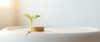 Young green seedling sprouting from stacked golden coins on white surface with soft sunlight, symbolizing financial growth, investment returns, and sustainable business development.