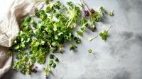 Fresh microgreens scattered on gray concrete surface with linen cloth, showcasing vibrant green sprouts for healthy cooking.
