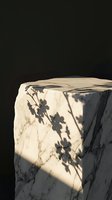Marble pedestal with plant shadow cast on surface against dark background, suitable for product display and luxury branding.