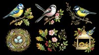 Watercolor songbirds with nests, flowers and botanical elements isolated on transparent background. Ready for t-shirt design, clipart, stickers, sublimation and print-on-demand projects.