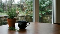 Cozy indoor scene with potted rosemary plant and black coffee mug on wooden table by window overlooking garden on rainy day creating peaceful atmosphere.