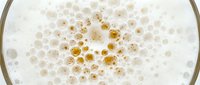 Foam bubbles in various sizes floating on white liquid surface with golden and beige tones, suitable for beverage, cosmetics, and skincare product photography.