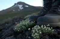Hiking boots next to delicate white mountain flowers growing between rocks, dramatic mountain landscape in background, moody outdoor adventure scene.