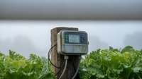 Irrigation controller mounted on wooden post in agricultural field with green crops, monitoring water distribution system for farming operations.