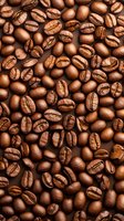 Fresh roasted coffee beans background showing natural brown color and distinctive groove patterns. Close-up macro photography reveals rich texture and details.