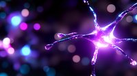 Glowing purple neuron cell with electric synapses firing against dark background with bokeh lights for medical and scientific presentations.