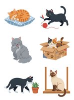 Cartoon cats collection featuring orange tabby sleeping on pillow, black cat playing with yarn ball, gray sitting cat, orange and white kitten in cardboard box, black cat with potted plant, and Siamese cat on wooden swing. Isolated clipart set for design projects.